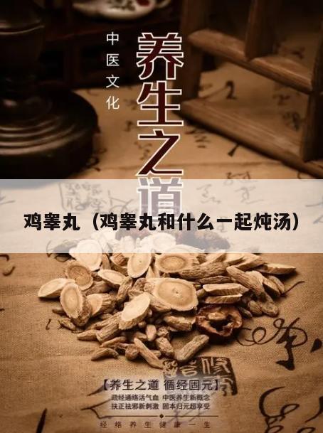 鸡睾丸（鸡睾丸和什么一起炖汤）