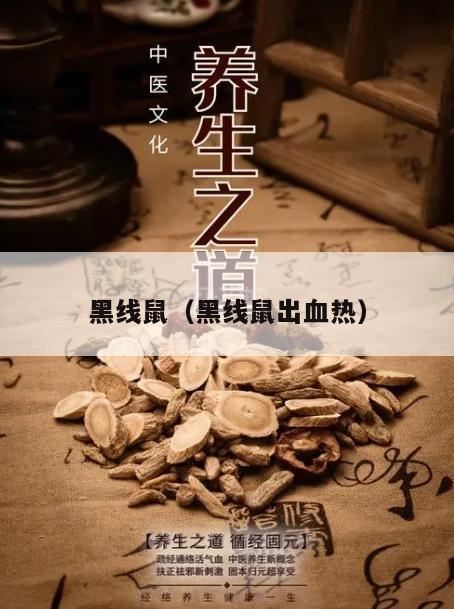 黑线鼠（黑线鼠出血热）