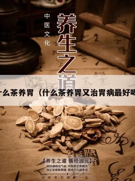 什么茶养胃（什么茶养胃又治胃病最好喝）